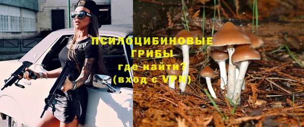 трава Беломорск