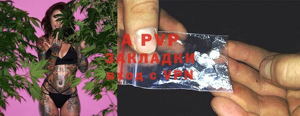 apvp Белокуриха